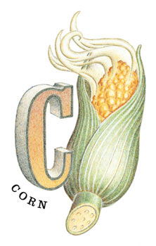 C is for Corn