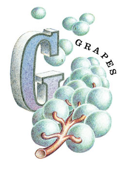 G is for Grapes