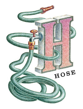 H is for Hose