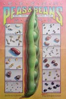 Peas & Beans Poster