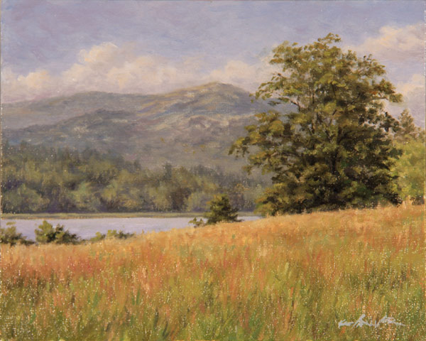 Will Kefauver oil painting, "Little Long Pond Meadow"