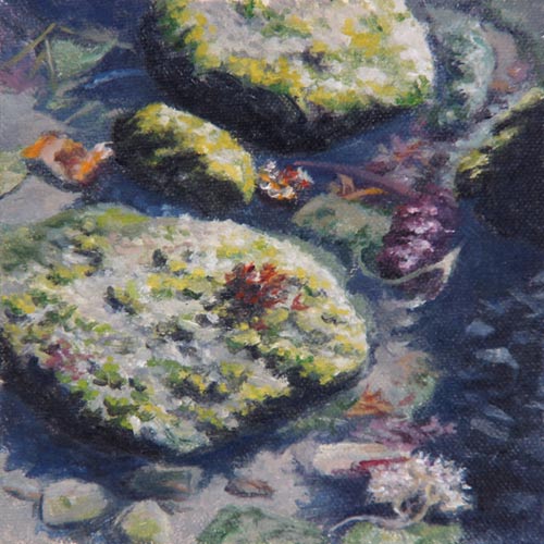 Will Kefauver oil painting, "Tide Pool I"