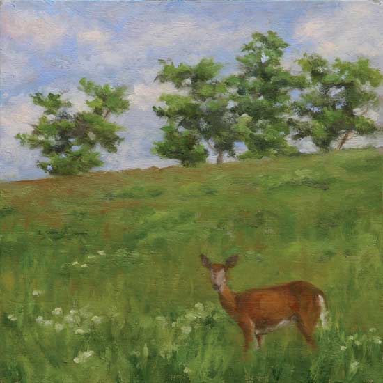 Caught Watching, painting, deer, field