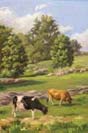 Cows, painting, field, Muscoot Farm, Somers, NY