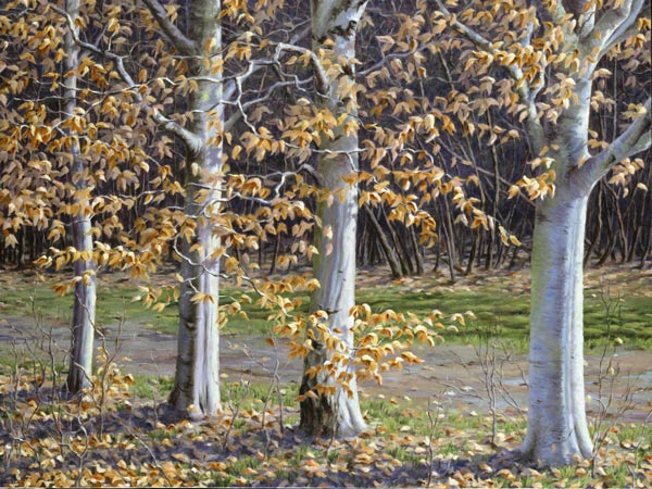 Will Kefauver oil painting, "Light Song, the Beeches"