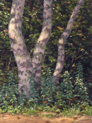 Will Kefauver oil painting, "Vineyard Beech"