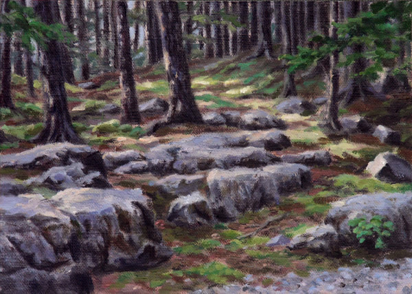 Will Kefauver, paintings, "Forest Light Sketch", oil on linen panel, Acadia, Maine