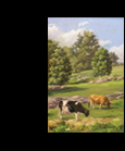 Cows, painting, Muscoot Farm, Somers, New York