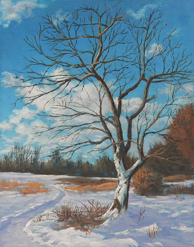 Will Kefauver oil paintings, "Bare Tree, Snow"