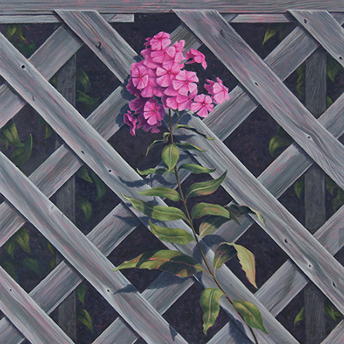 Will Kefauver oil painting, "Monhegan Phlox II"