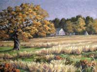 The Oak, Pound Ridge, painting