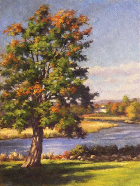 Tree by the Lieutenant River, Old Lyme Connecticut
