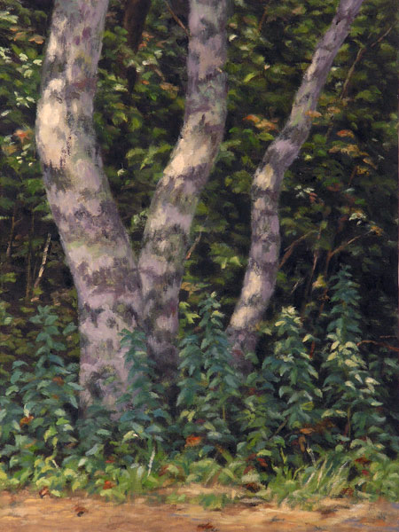 Vineyard Beech, oil on linen panel, landscape